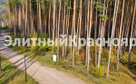 Участок в сосновом бору, на границе с поселком Сосны — цена 21,7 млн. Фото 4.