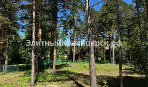 Фото 3: Участок в Удачном возле Енисея
