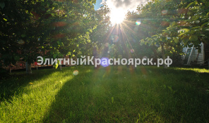 Фото 2: Коттедж в Удачном, утопающий в зелени