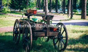 Фото 3: Коттедж в сосновом бору с выходом к Енисею