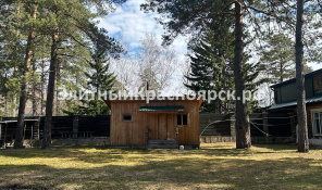 Фото 3: Участок с соснами и городским отоплением