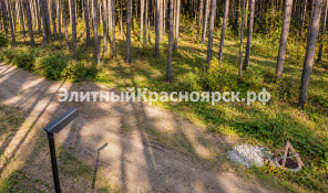 Участок в сосновом бору, граница с поселком Сосны — цена 43,8 млн. Фото 3.