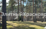 Фото 5: Участок с соснами и городским отоплением