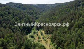 Фото 2: Погружение в дикую красоту: участок в тайге.