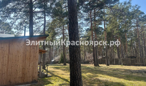Фото 2: Участок с соснами и городским отоплением