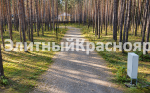 Участок в сосновом бору, граница с поселком Сосны — цена 43,8 млн. Фото 4.