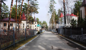 Фото 2: Серебряный бор.